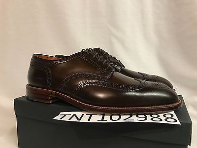 Alden D5509 Cigar Shell Cordovan Short Wing Tip Blucher