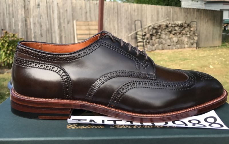 Alden D5509 Cigar Shell Cordovan Short Wing Tip Blucher