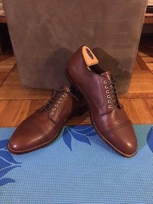 Alden D4508 Brown Alpine Grain Perforated Straight Tip Blucher