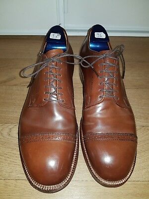 Alden 56254 Ravello Shell Cordovan Perforated Straight Tip Blucher