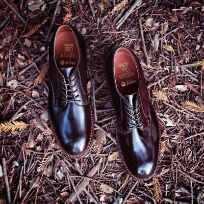 Alden D7404F Color 8 Shell Cordovan Plain Toe Dover
