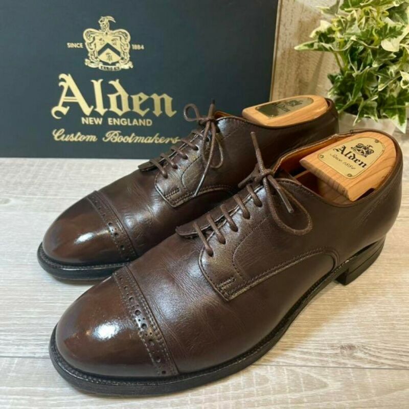Alden 55603