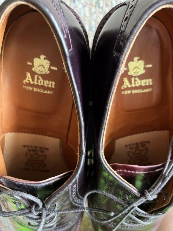 Alden D6310