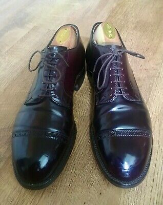 150 【新品】 THOMAS - Horween Shell Cordovan Alden 5492 Color 8 Shell Cordovan V-Tip Blucher | Alden