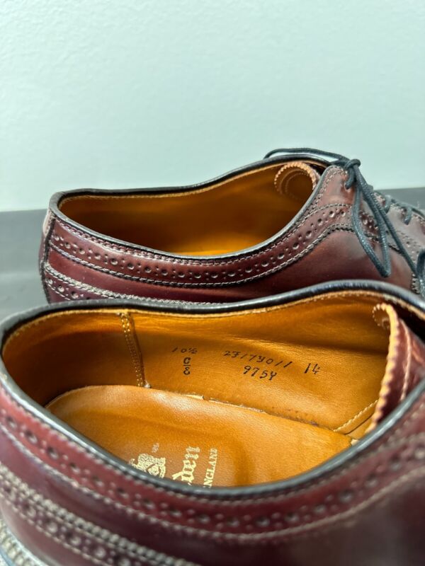 Alden 975Y Color 8 Shell Cordovan Long Wing Blucher | Alden
