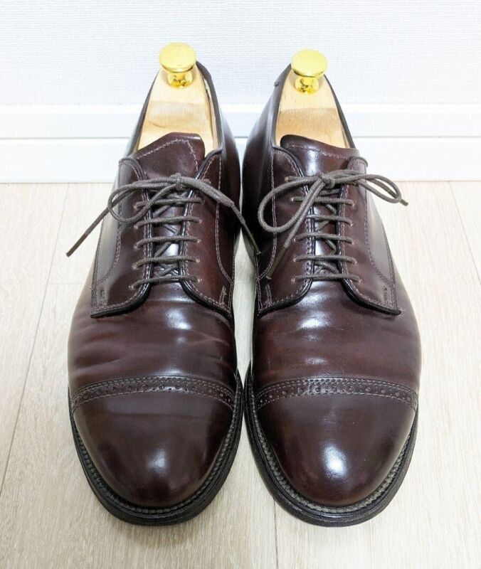 Alden 56201 Color 8 Shell Cordovan Perforated Straight Tip Blucher 
