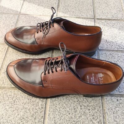 Alden N6601 Brown Alpine Grain and Color 8 Shell Cordovan V-Tip Blucher Spectator
