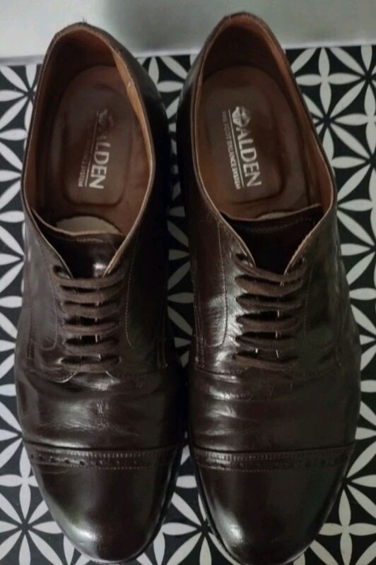 Alden 564 Dark Brown Kidskin Perforated Straight Tip Blucher
