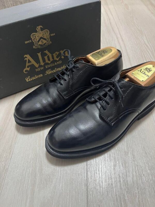 Alden 9596S