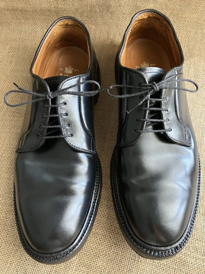 Alden 93911Y Cigar Shell Cordovan Plain Toe Blucher