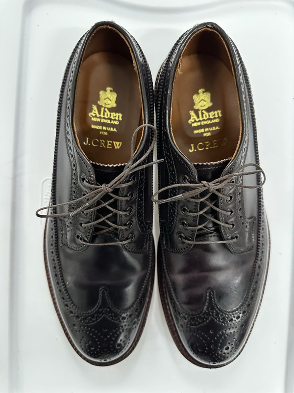Alden D2517 Color 8 Shell Cordovan Long Wing Blucher | Alden Model