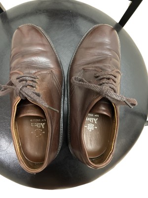Alden 854 Brown Calfskin Plain Toe Dover