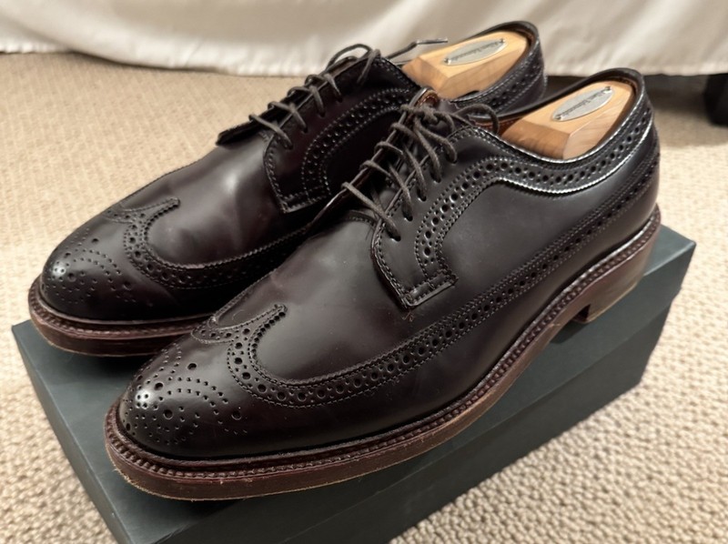 し*ー様 Alden461 ブラック 9.5 Alden 9751 Black Shell Cordovan Long Wing Blucher | Alden