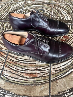 Alden 56201 Color 8 Shell Cordovan Perforated Straight Tip