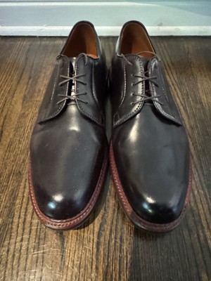 Alden D6402C Color 8 Shell Cordovan Plain Toe Blucher