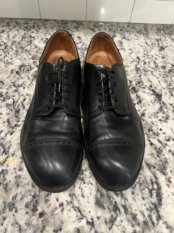 Alden 559