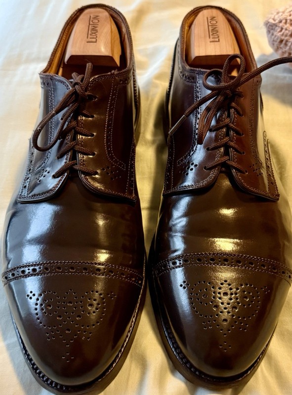 Alden 2145 Color 8 Shell Cordovan Medallion Tip Blucher