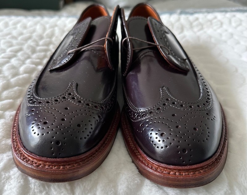 Alden 97581 Color 8 Shell Cordovan Long Wing Blucher | Alden