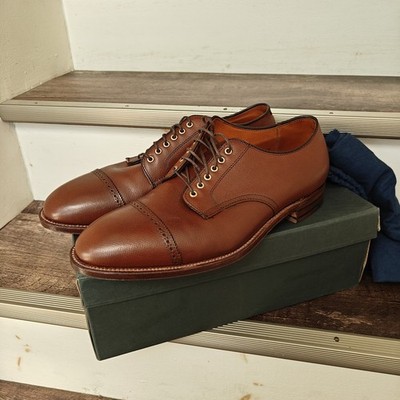 Alden D4508 Brown Alpine Grain Perforated Straight Tip Blucher