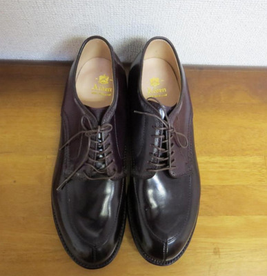 Alden 54321 Color 8 Shell Cordovan V-Tip Blucher | Alden