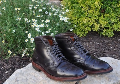 Alden D6844C Color 8 Shell Cordovan Wing Tip Boot