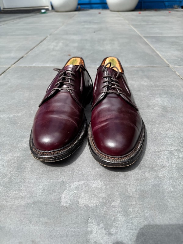 Alden 990Y Color 8 Shell Cordovan Plain Toe Blucher | Alden Model