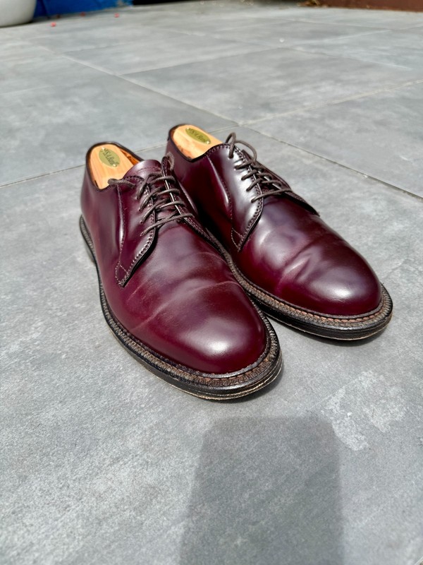 Alden 990Y Color 8 Shell Cordovan Plain Toe Blucher | Alden Model