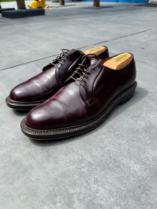 Alden 990Y Color 8 Shell Cordovan Plain Toe Blucher | Alden Model