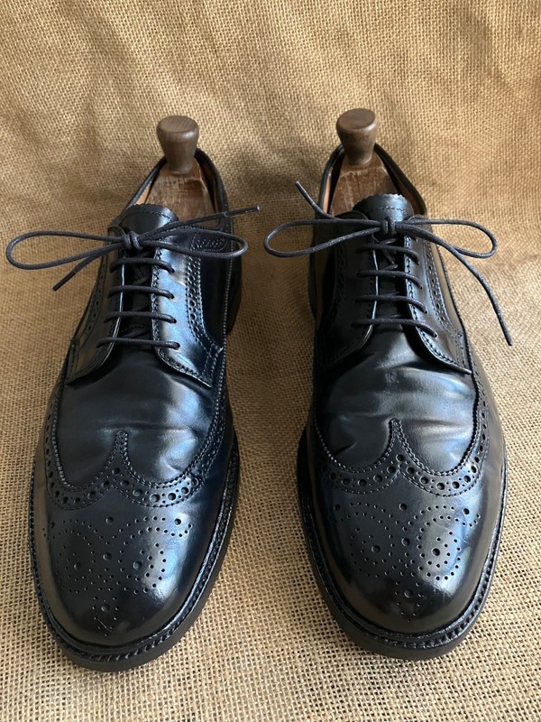 Shirokuro ALDEN 9751 9D 27cm オールデン Alden 9751 Black Shell Cordovan Long Wing Blucher | Alden