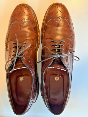 Alden 97788 Dark Brown Calfskin Long Wing Blucher