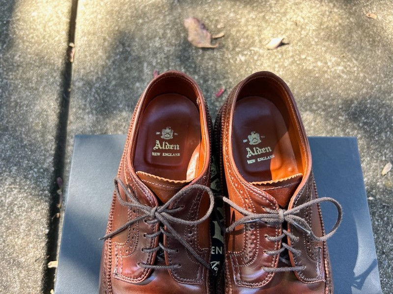 Alden 97504
