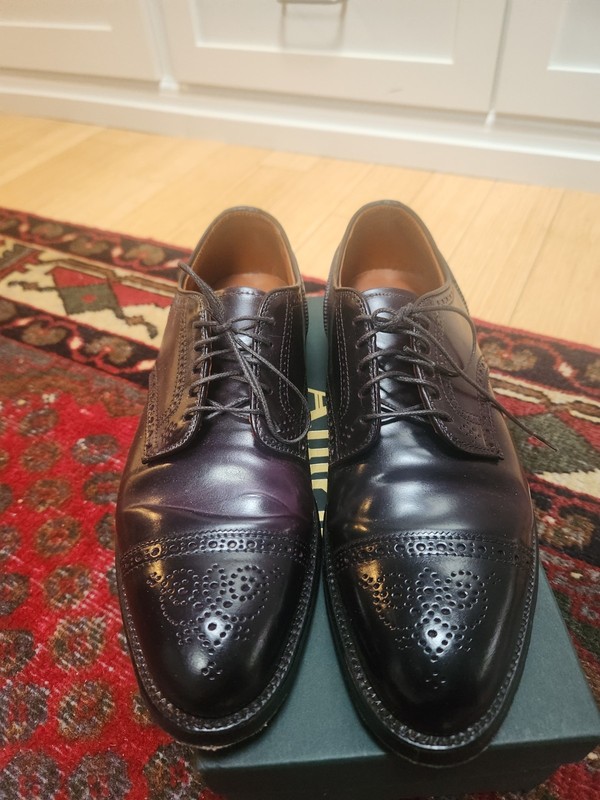 Alden 2145 Color 8 Shell Cordovan Medallion Tip Blucher | Alden