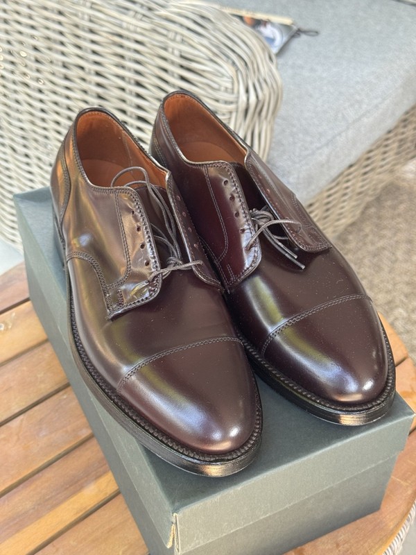 靴 Alden 2160 cordovan Straight Tip shoe 2160 Straight Tip Blucher (Color 8 Shell Cordovan) – The