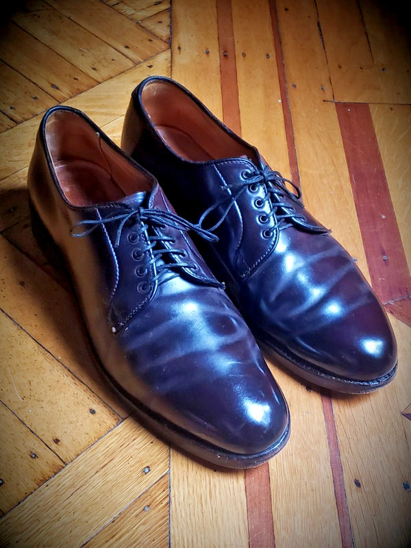 Alden 00035 Color 8 Shell Cordovan Plain Toe Blucher | Alden Model