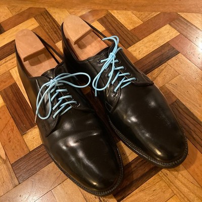 Alden 06611 Black Shell Cordovan Plain Toe Blucher