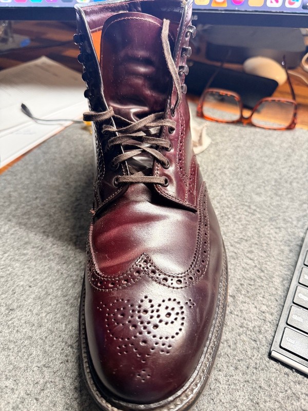 Alden 4461HC Color 8 Shell Cordovan Wing Tip Boot | Alden Model