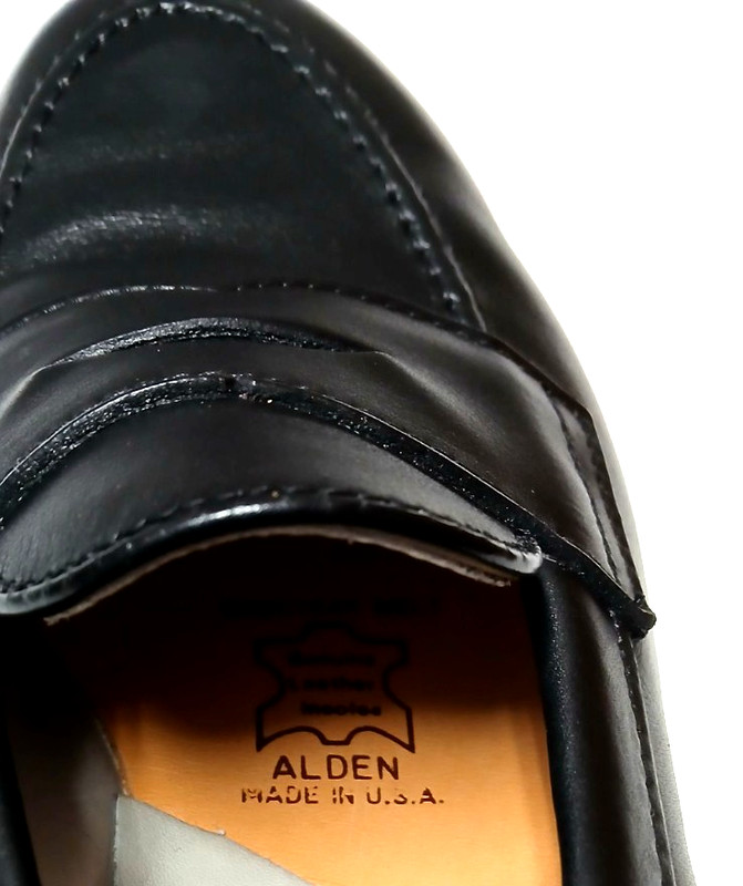 Alden 9695F