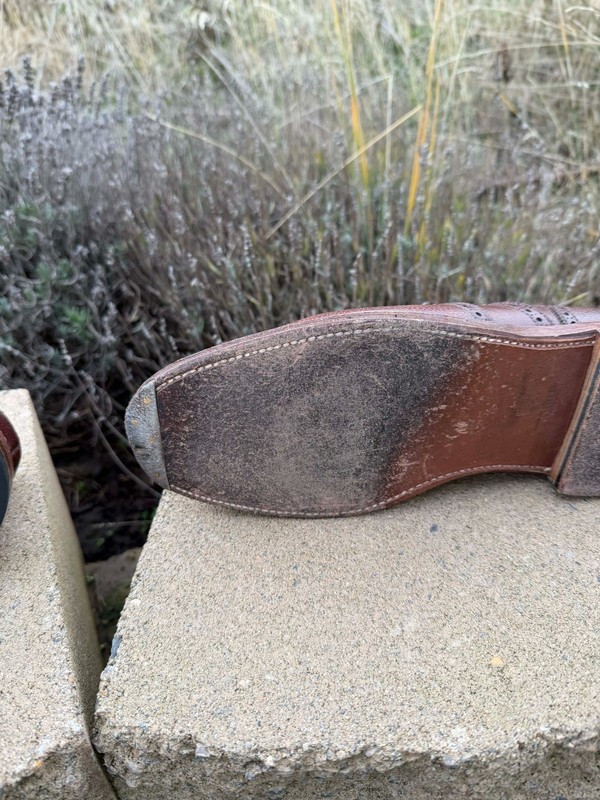 Alden D6304