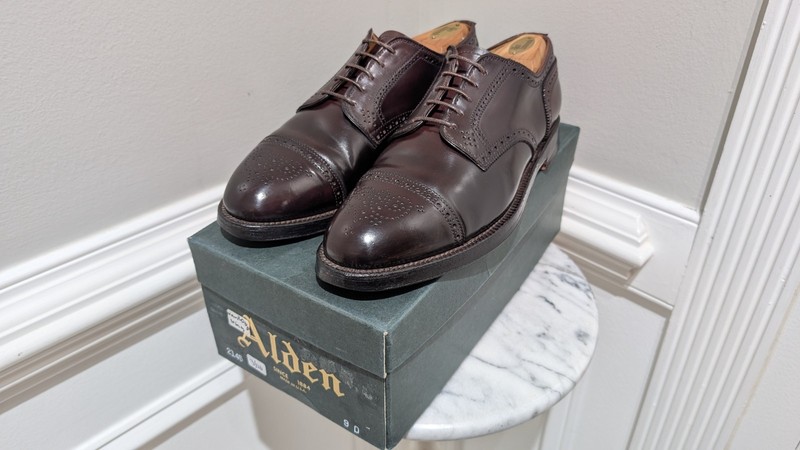 Alden 2145 Color 8 Shell Cordovan Medallion Tip Blucher | Alden