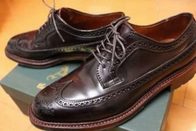 Alden D6519C Color 8 Shell Cordovan Long Wing Blucher