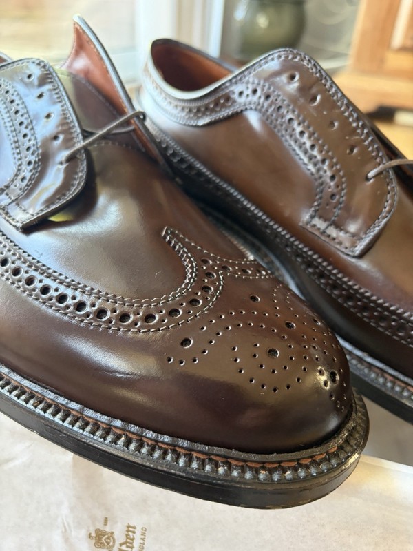 Alden 97896 Cigar Shell Cordovan Long Wing Blucher | Alden Model