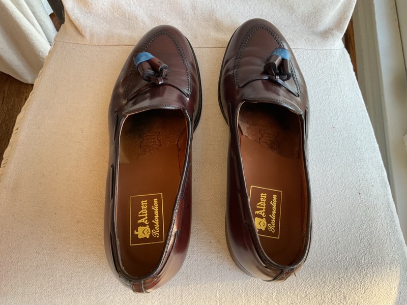 Alden 561