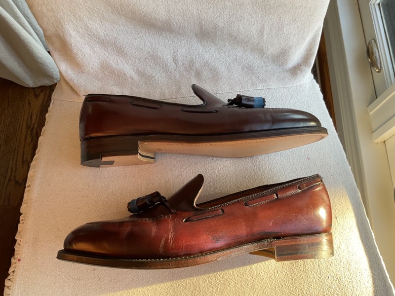 Alden 561