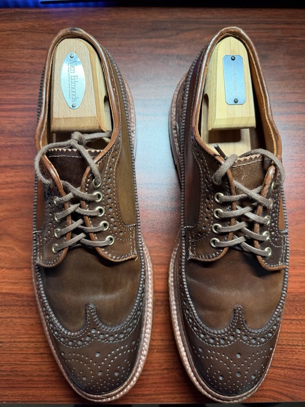 Alden D3506 Ravello Shell Cordovan Long Wing Blucher | Alden Model