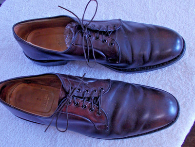 Alden A765 Color 8 Shell Cordovan Plain Toe Blucher