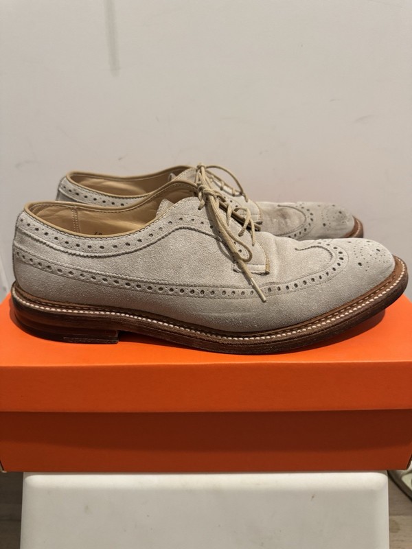 Alden D7523 Milkshake Suede Long Wing Blucher | Alden Model Project