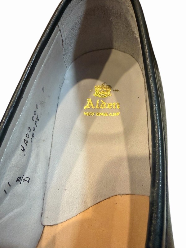 Alden 9695F
