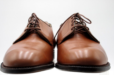 Alden 2816 Burnished Dark Tan Calfskin Nassau Plain Toe Blucher