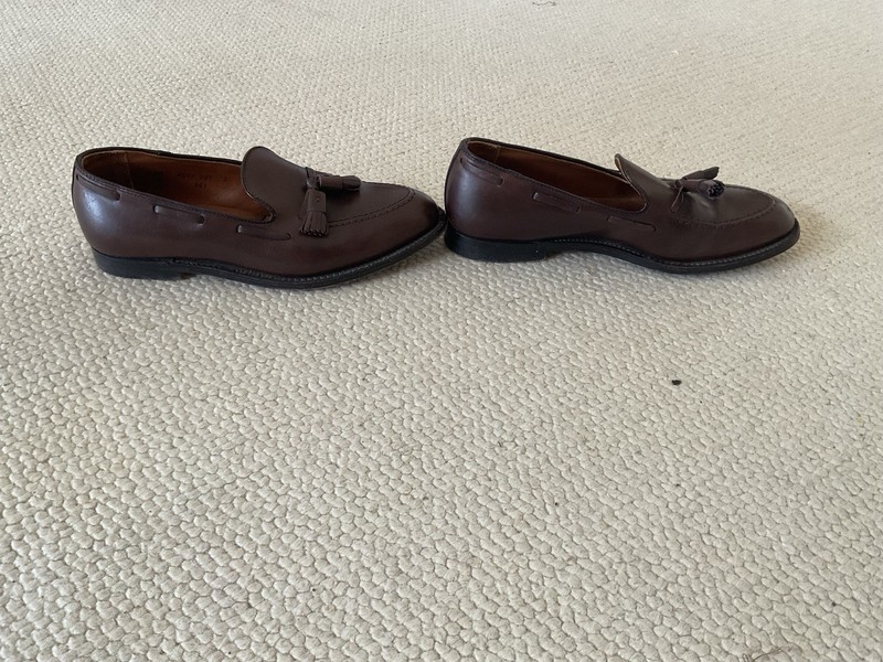 Alden 561