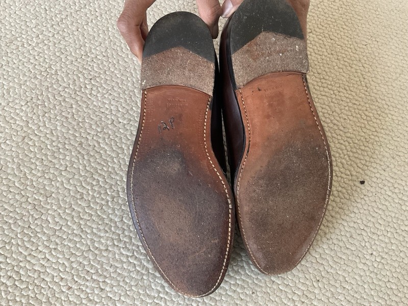 Alden 561